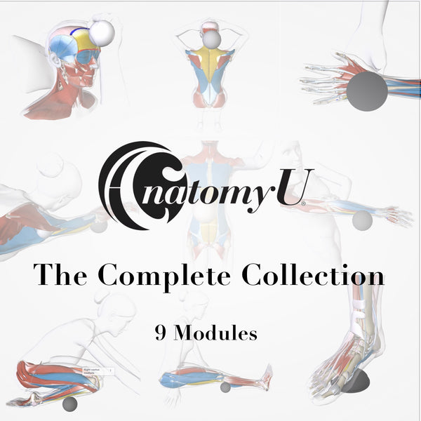 AnatomyU: Complete Module Set